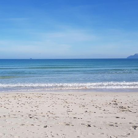 Ideal Property Mallorca - Delicias Alcudia  Bagian luar foto